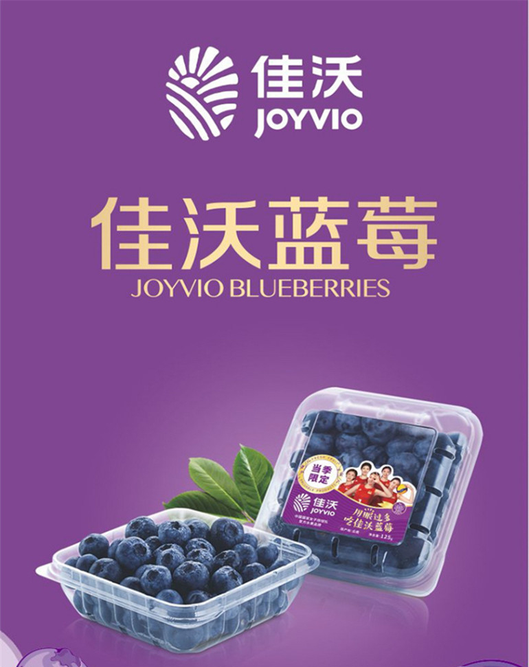 蓝莓品牌logo图片